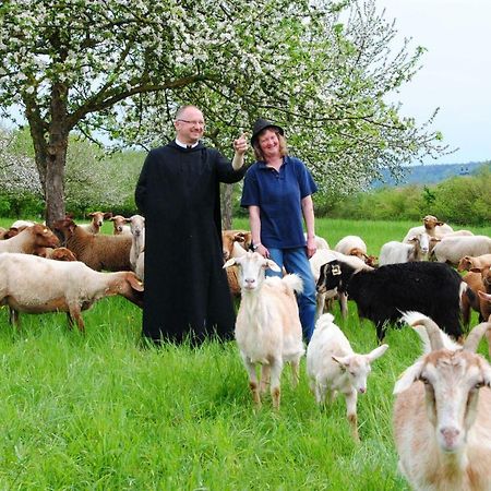 Kloster Plankstetten Gaste- Und Tagungshaus Berching Esterno foto