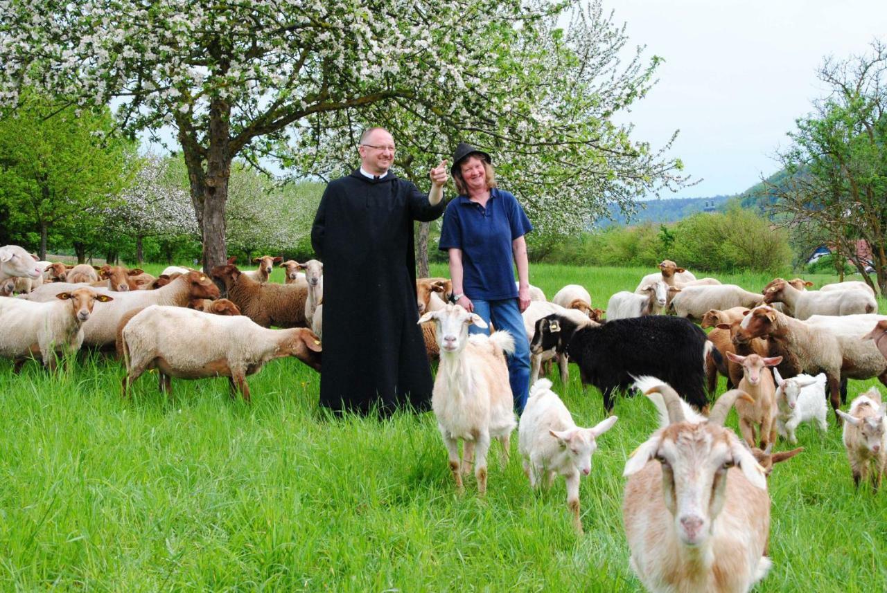 Kloster Plankstetten Gaste- Und Tagungshaus Berching Esterno foto